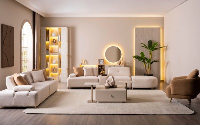 Viral Koltuk Takımı