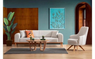 Omega Koltuk Takımı