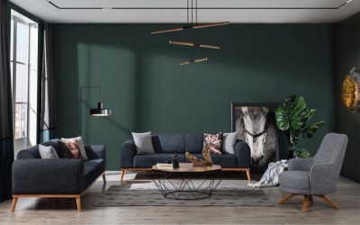 Omega Koltuk Takımı