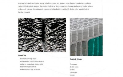 Ergoline Yatak Seti Baza + Başlık + Yatak