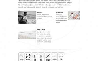 Vanessa Yatak Seti Baza + Başlık + Yatak