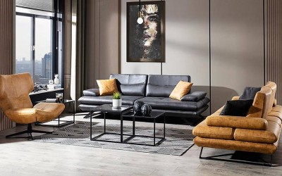 Polo Koltuk Takımı