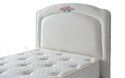Lily Başlık Lily Başlık